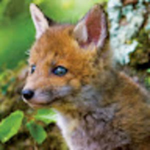 Meet your Posher, Maegan